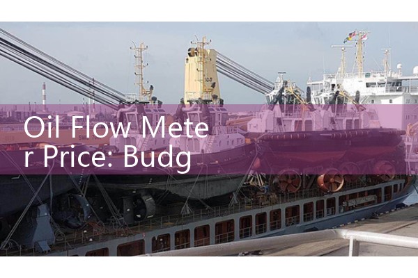 Oil Flow Meter Price: Budget Factors for Industrial Procurement Planning
